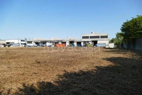 immagine annuncio 1 di 7