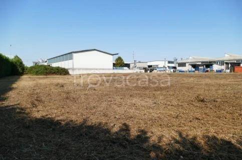 immagine annuncio 2 di 7