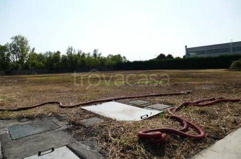 immagine annuncio 3 di 7