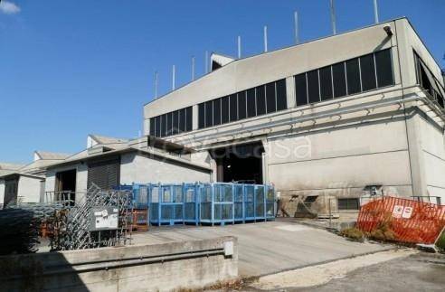 immagine annuncio 4 di 14