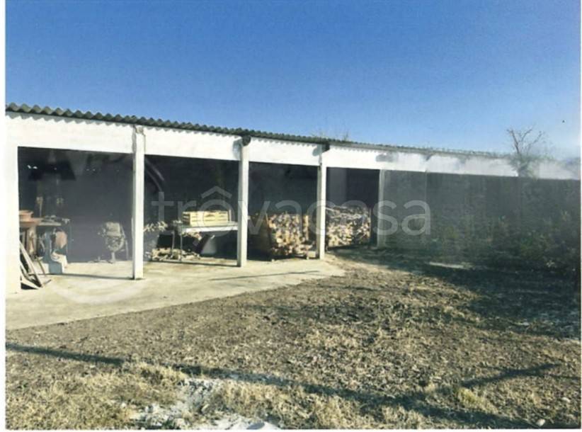 immagine annuncio 6 di 12