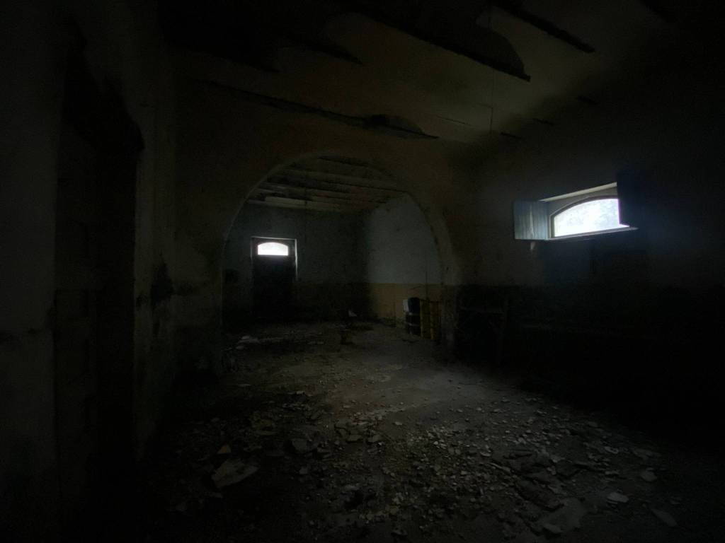 immagine annuncio 2 di 11