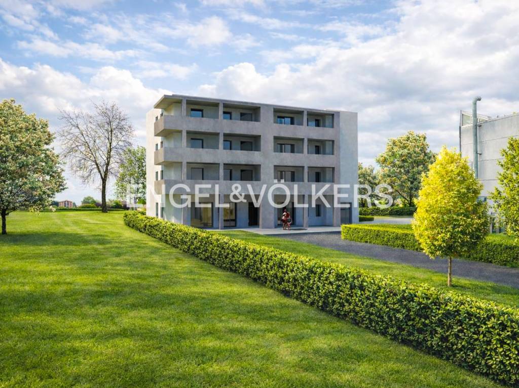 immagine annuncio 3 di 12