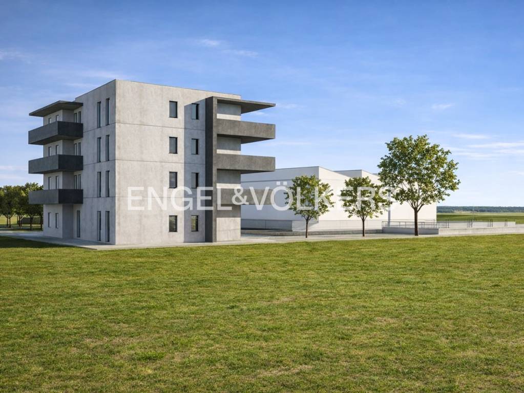 immagine annuncio 5 di 12