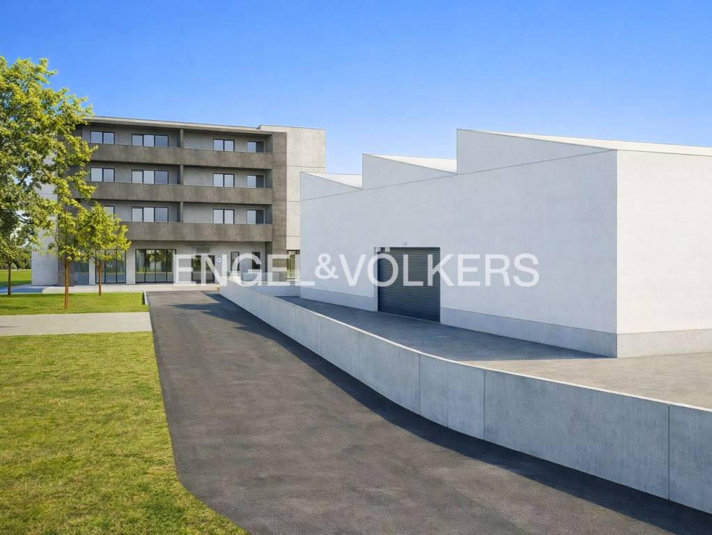 immagine annuncio 6 di 12