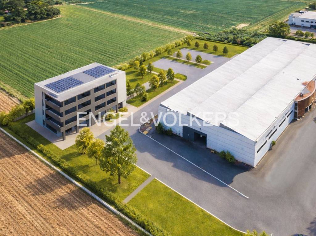 immagine annuncio 7 di 12