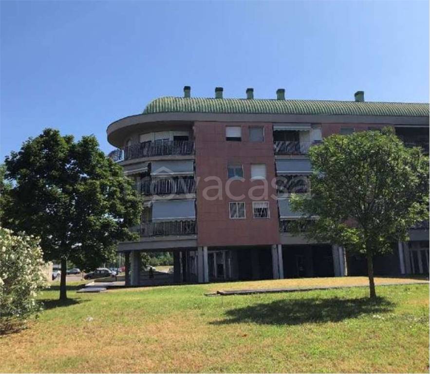 immagine annuncio 5 di 15