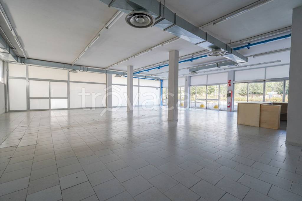 immagine annuncio 3 di 13