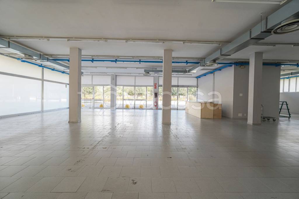 immagine annuncio 4 di 13