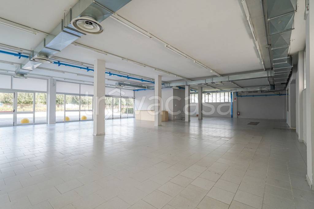 immagine annuncio 6 di 13