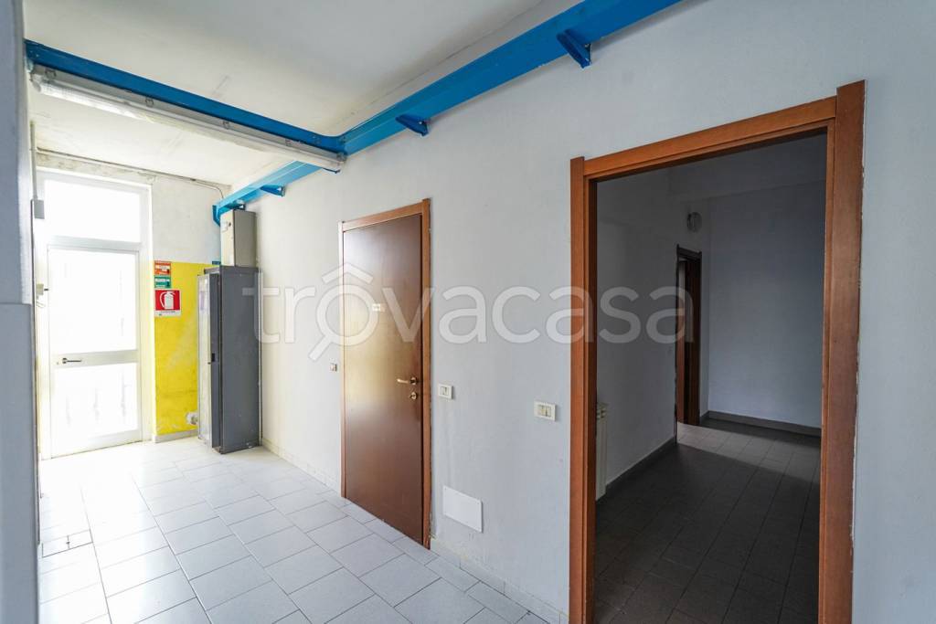 immagine annuncio 9 di 13