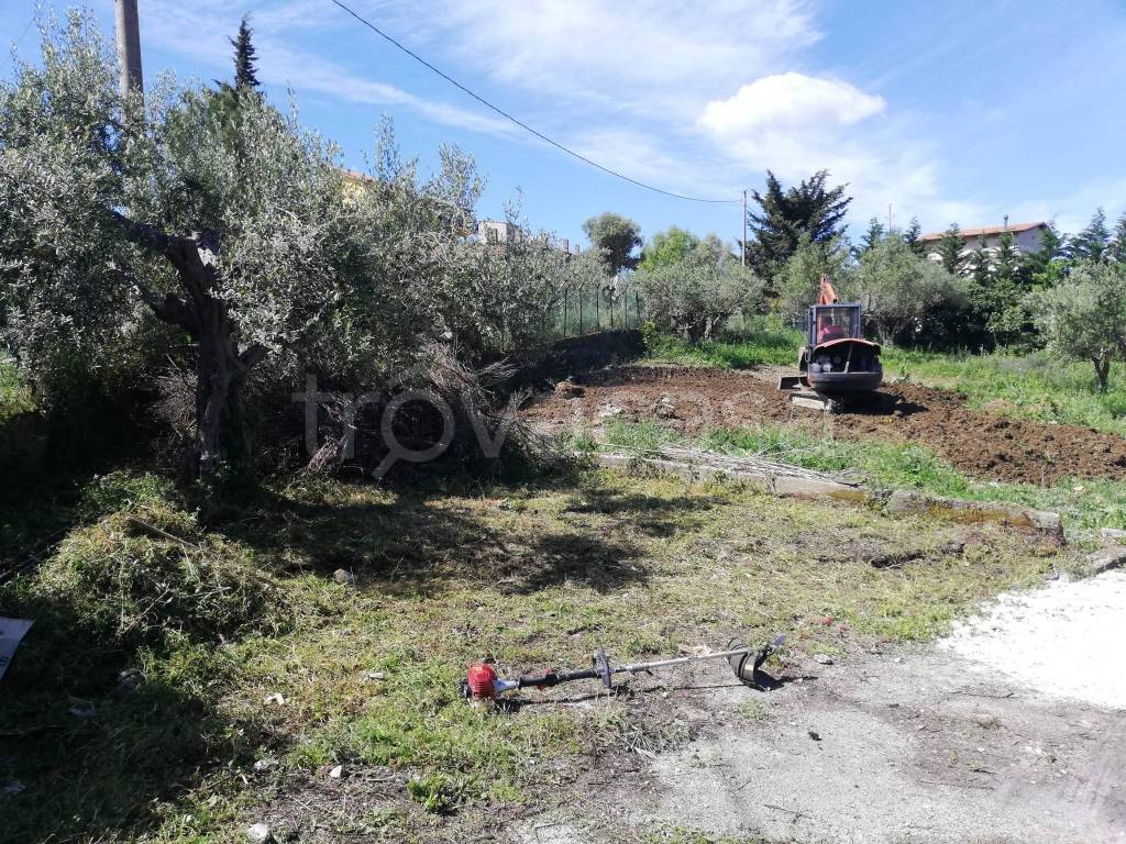 immagine annuncio 10 di 11