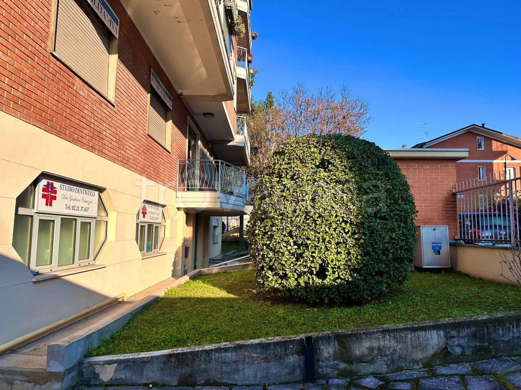 immagine annuncio 2 di 15