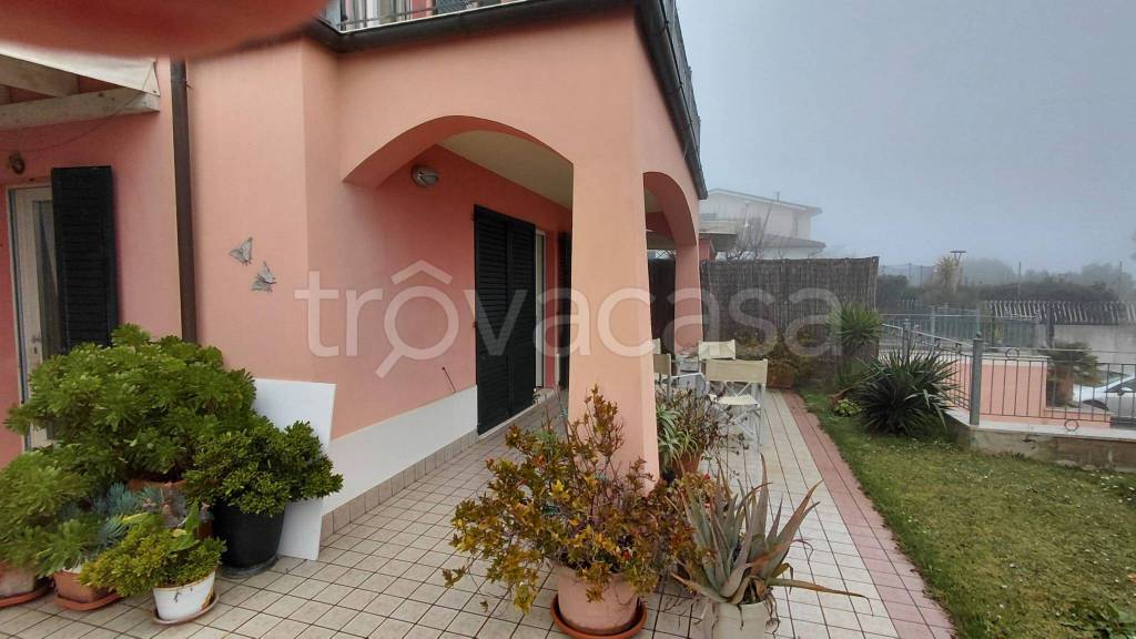 immagine annuncio 9 di 14