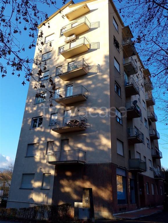 immagine annuncio 12 di 14