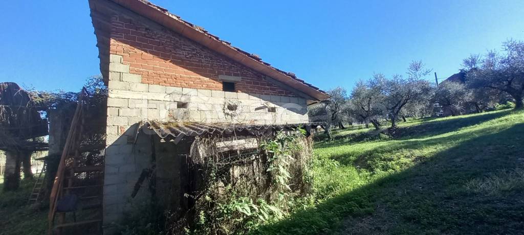 immagine annuncio 1 di 11