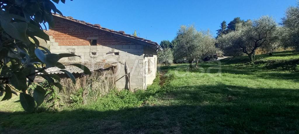 immagine annuncio 3 di 11