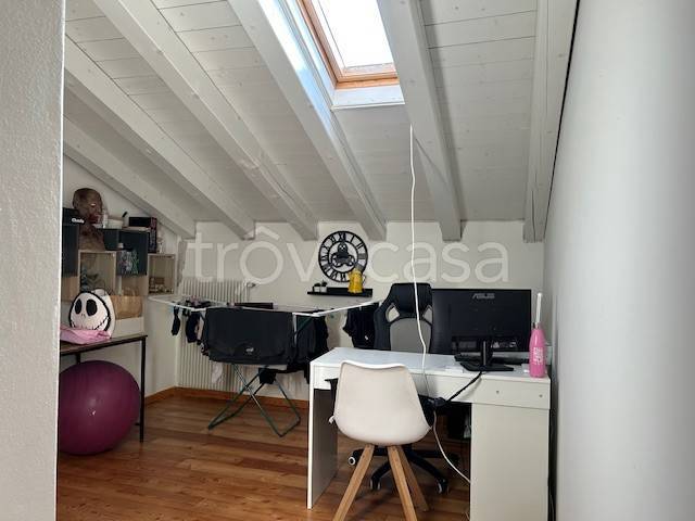 immagine annuncio 5 di 14