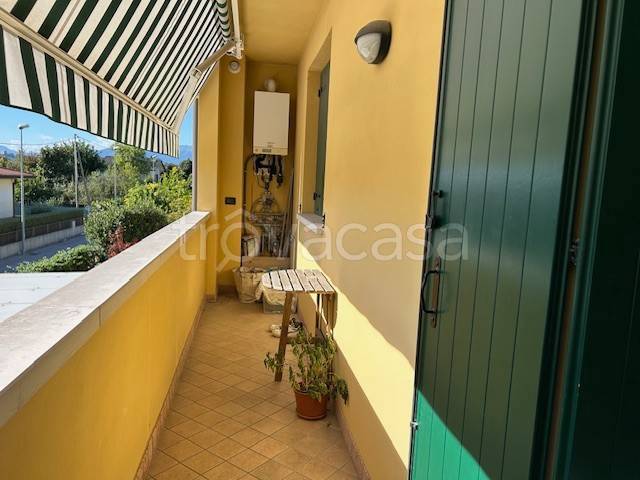 immagine annuncio 6 di 14