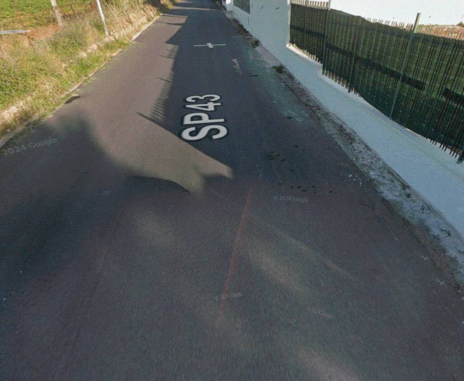 immagine annuncio 5 di 11