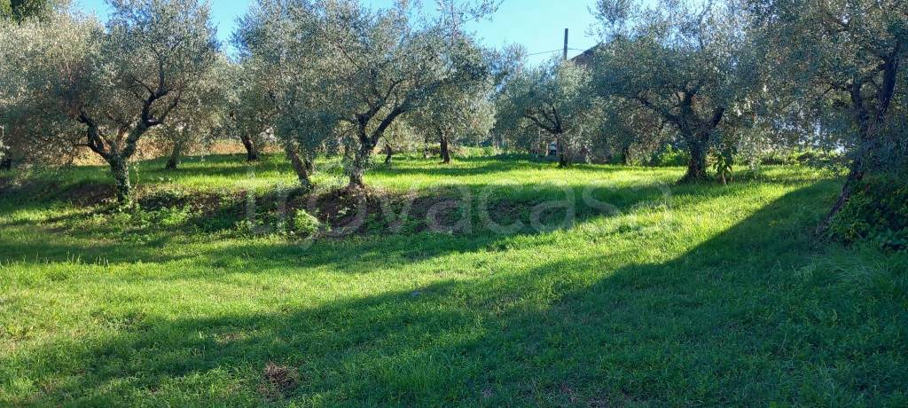 immagine annuncio 4 di 12