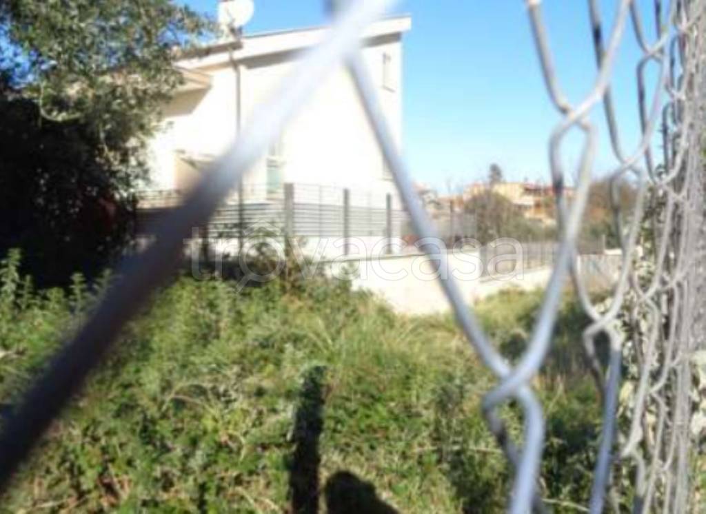 immagine annuncio 10 di 11