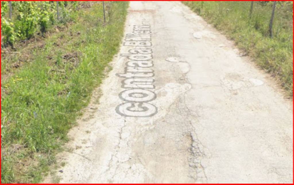 immagine annuncio 3 di 12