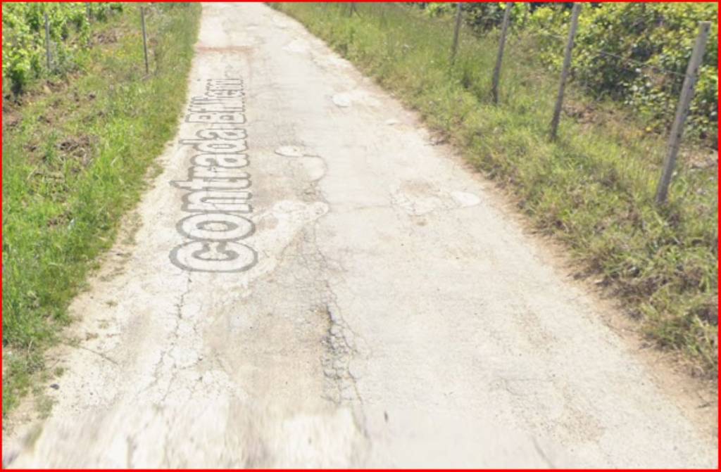 immagine annuncio 4 di 12