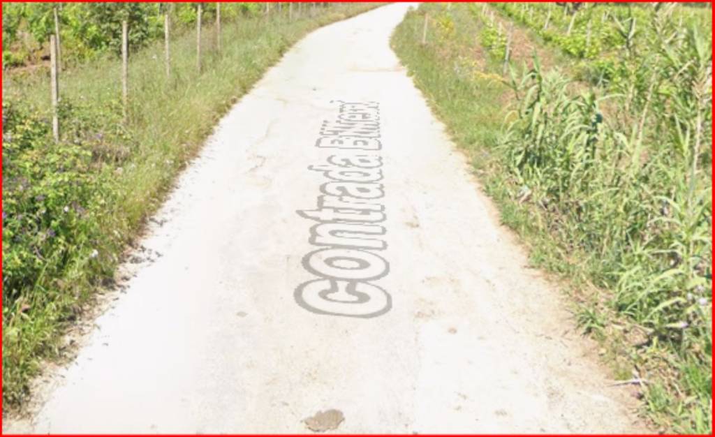 immagine annuncio 6 di 12