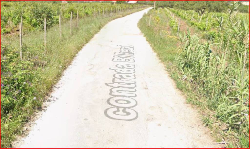 immagine annuncio 7 di 12