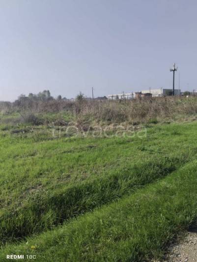 immagine annuncio 4 di 11