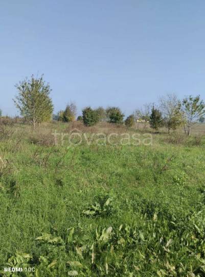 immagine annuncio 6 di 11