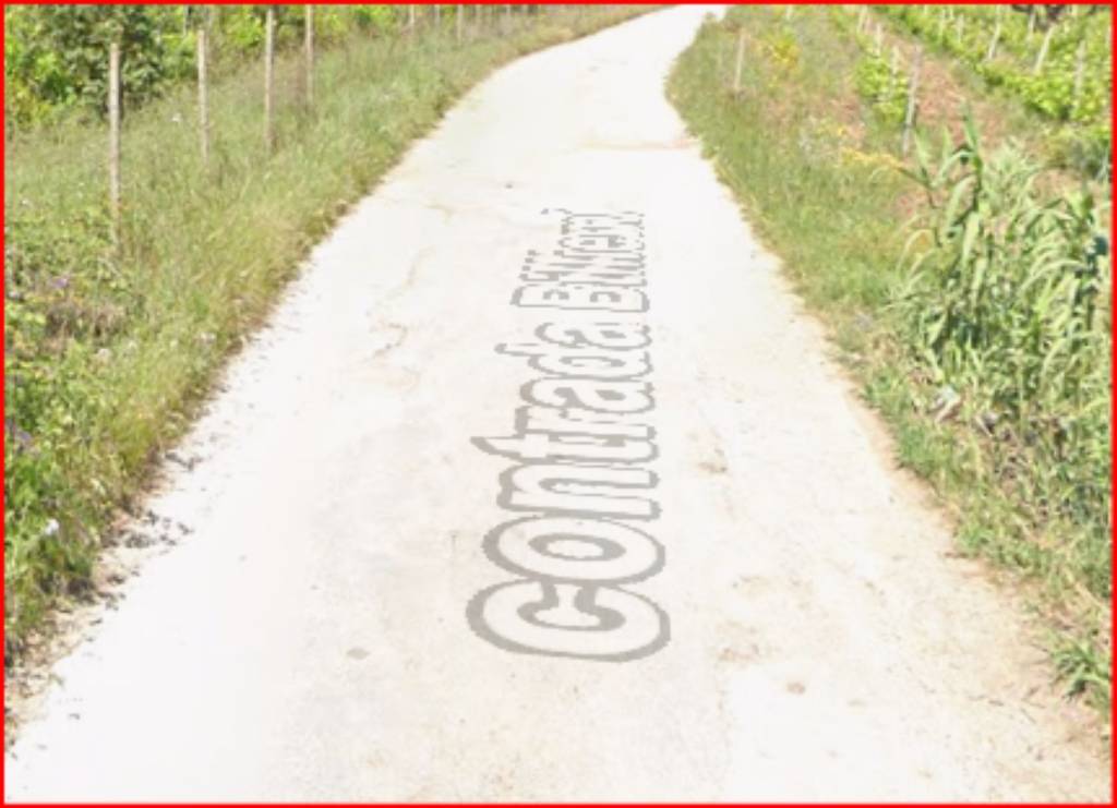 immagine annuncio 9 di 12