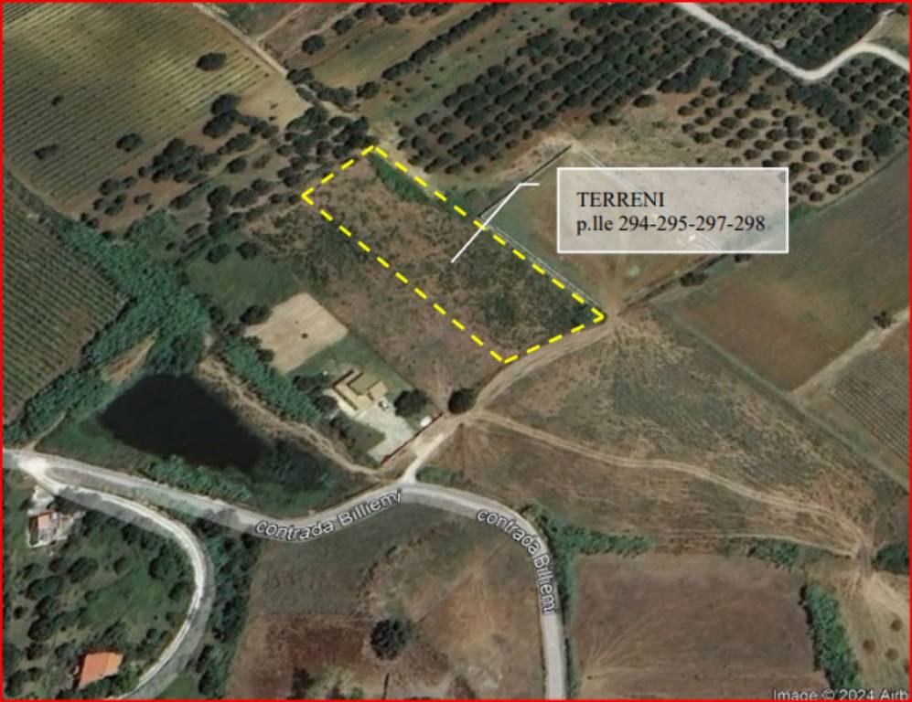 immagine annuncio 11 di 12