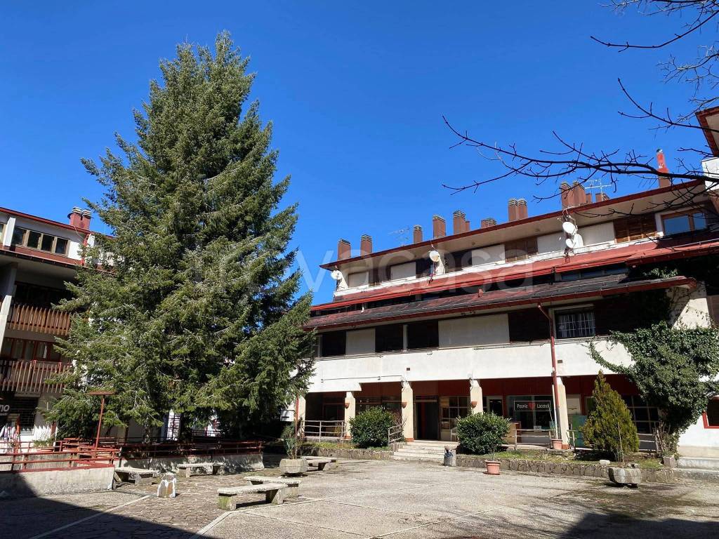 immagine annuncio 6 di 11