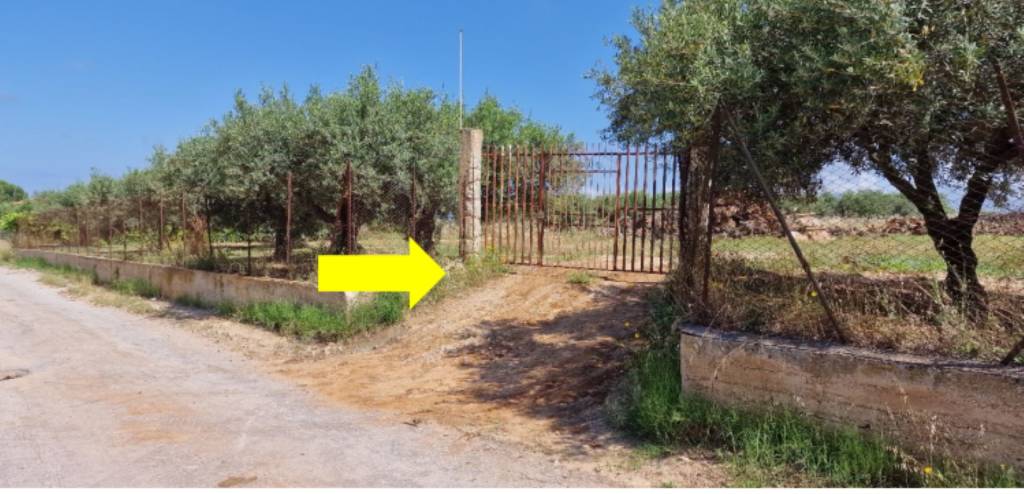 immagine annuncio 8 di 11