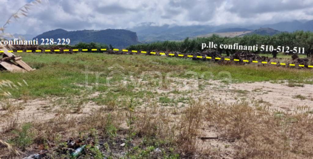 immagine annuncio 9 di 11