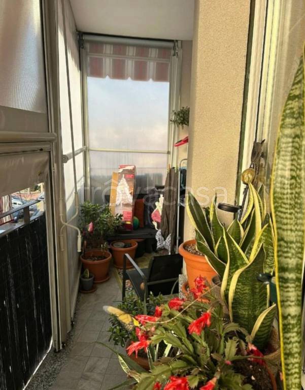 immagine annuncio 3 di 12