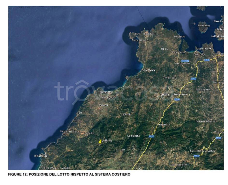 immagine annuncio 3 di 13