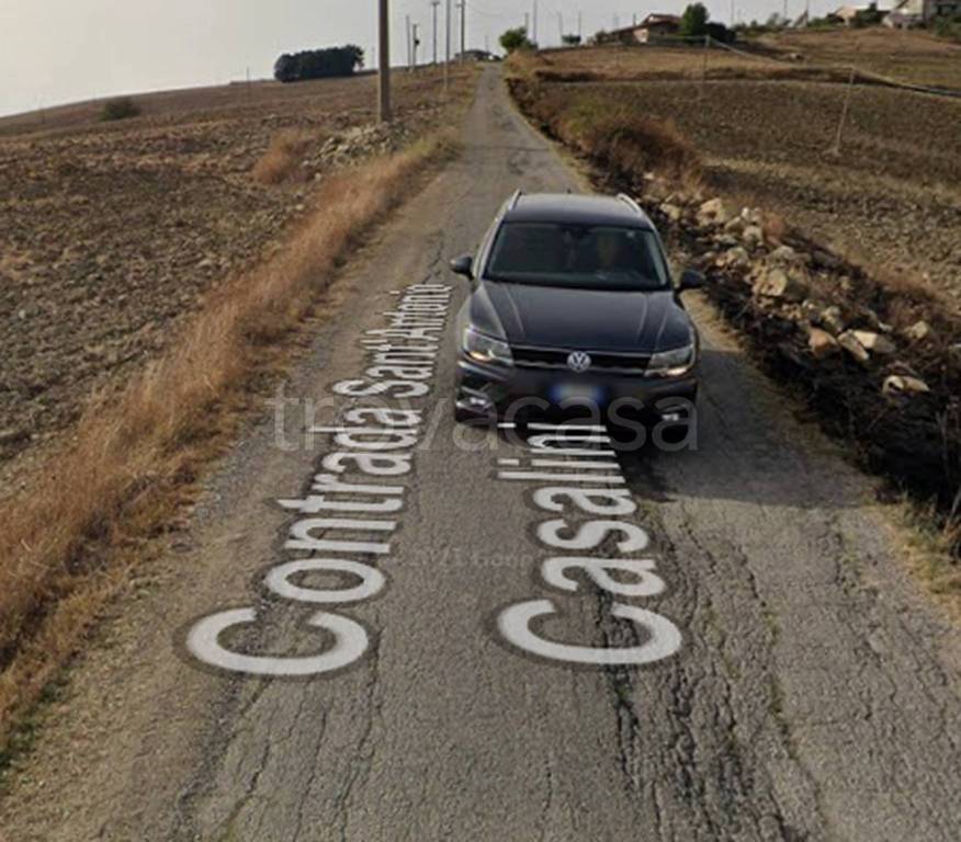 immagine annuncio 6 di 11