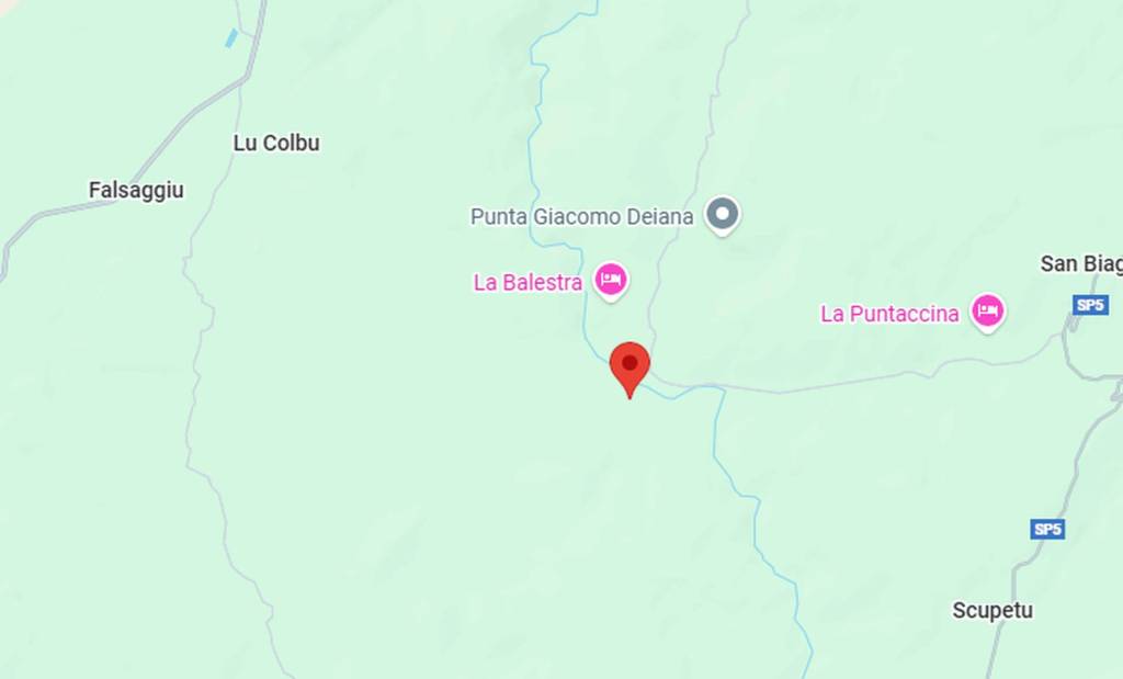 immagine annuncio 10 di 13