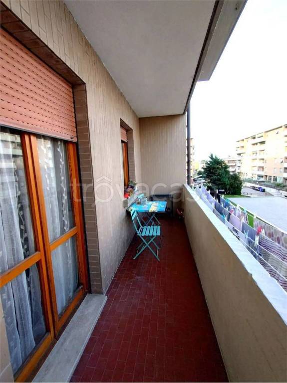 immagine annuncio 9 di 12