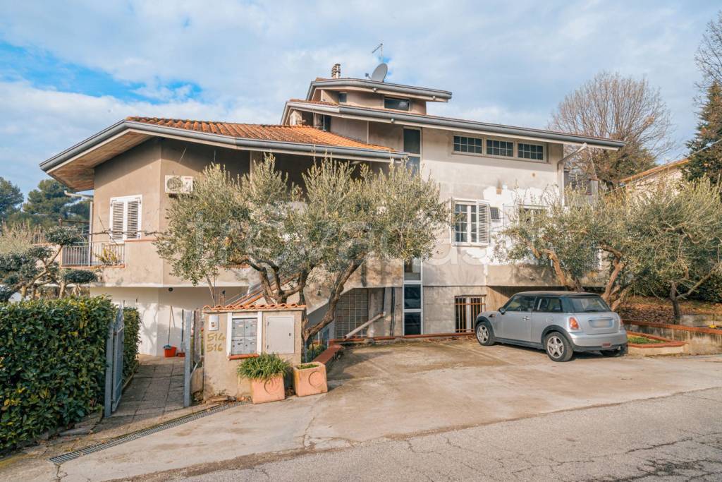 immagine annuncio 12 di 14