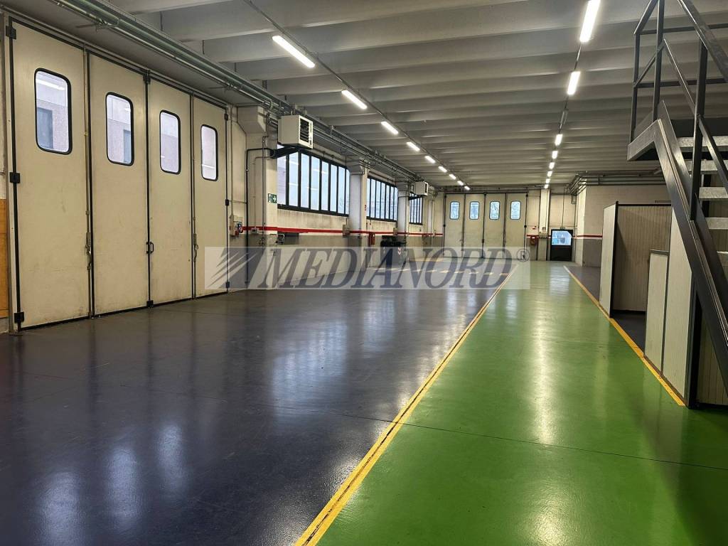 immagine annuncio 5 di 15