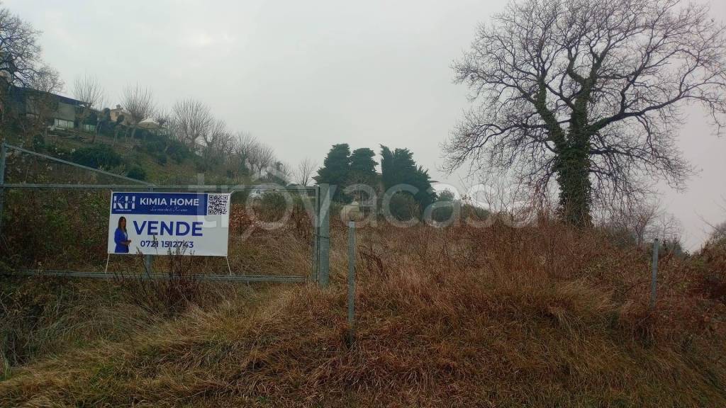 immagine annuncio 4 di 9