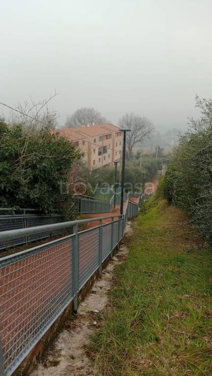 immagine annuncio 5 di 9