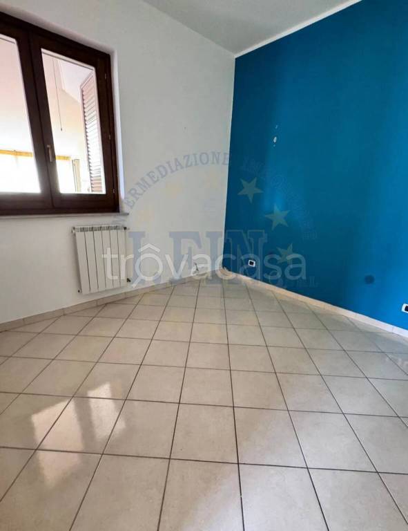 immagine annuncio 6 di 14