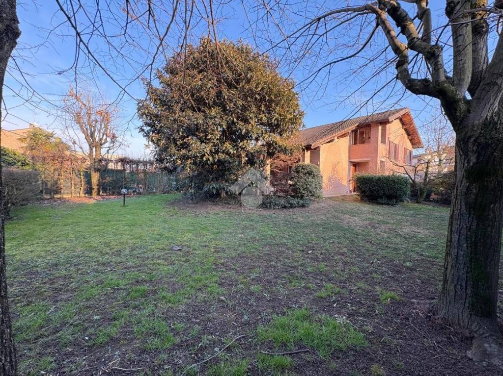 immagine annuncio 11 di 15