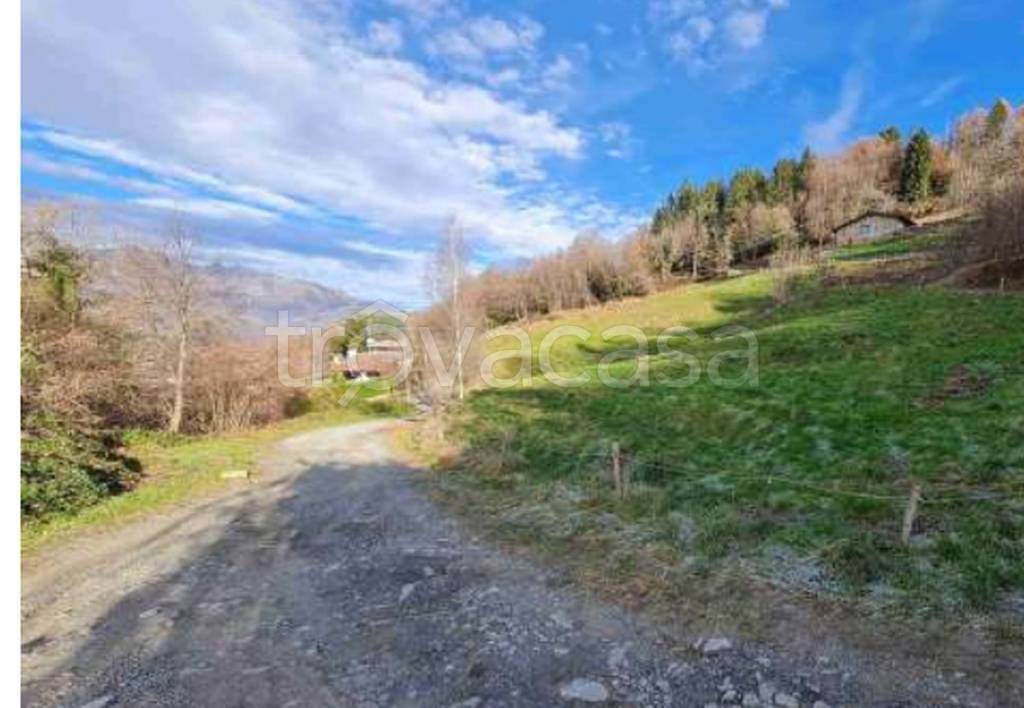 immagine annuncio 6 di 12