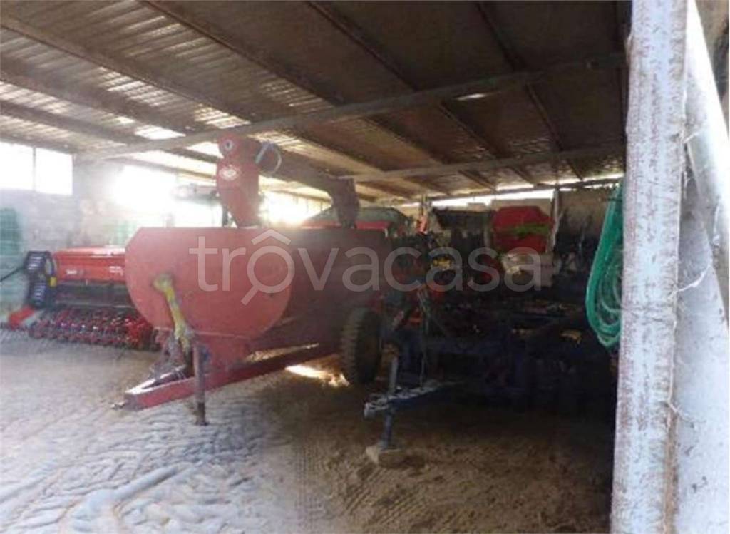 immagine annuncio 1 di 14